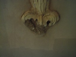 christchurch -2789.jpg